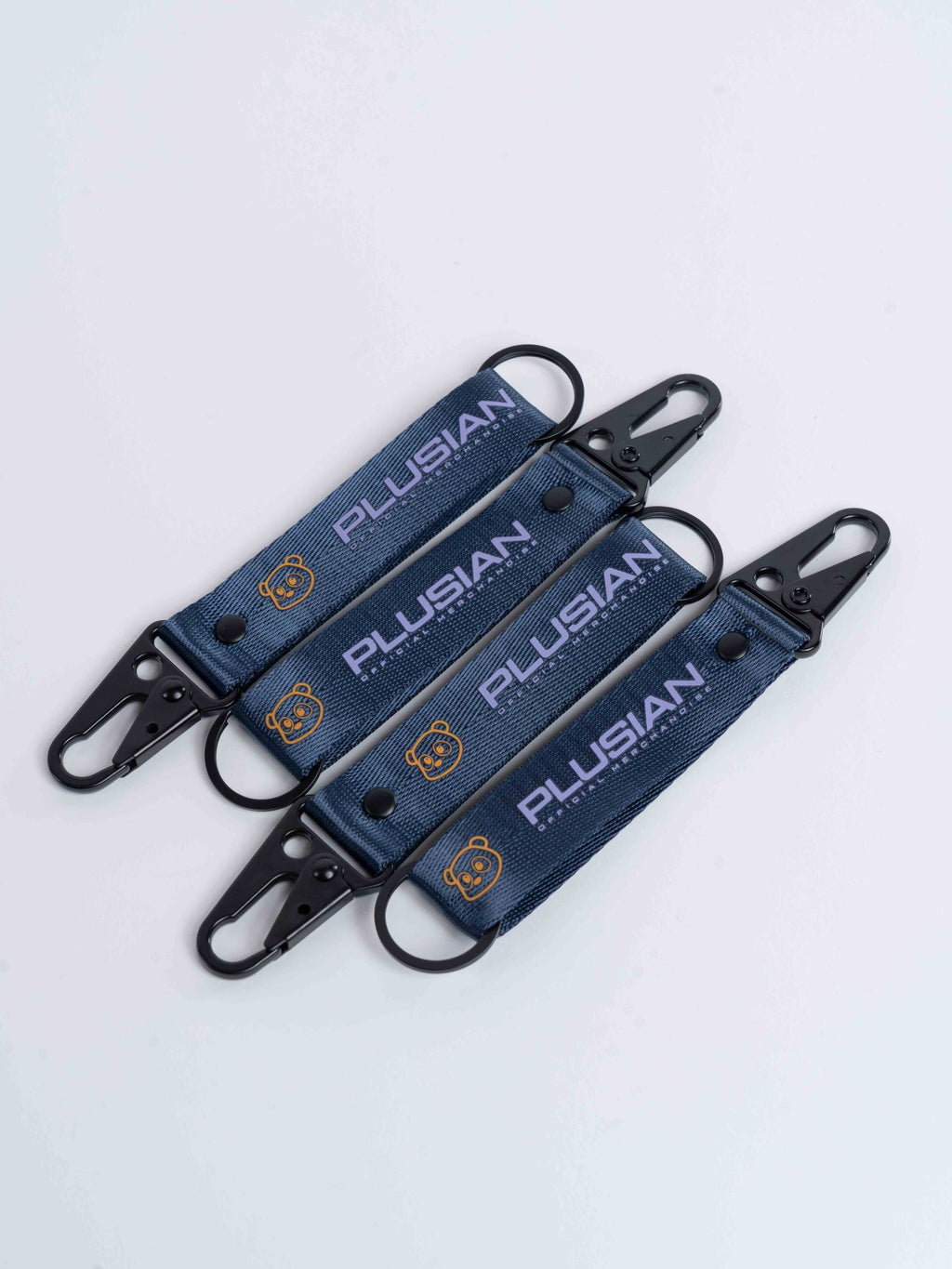 Plusian Carabiner / Keyholder