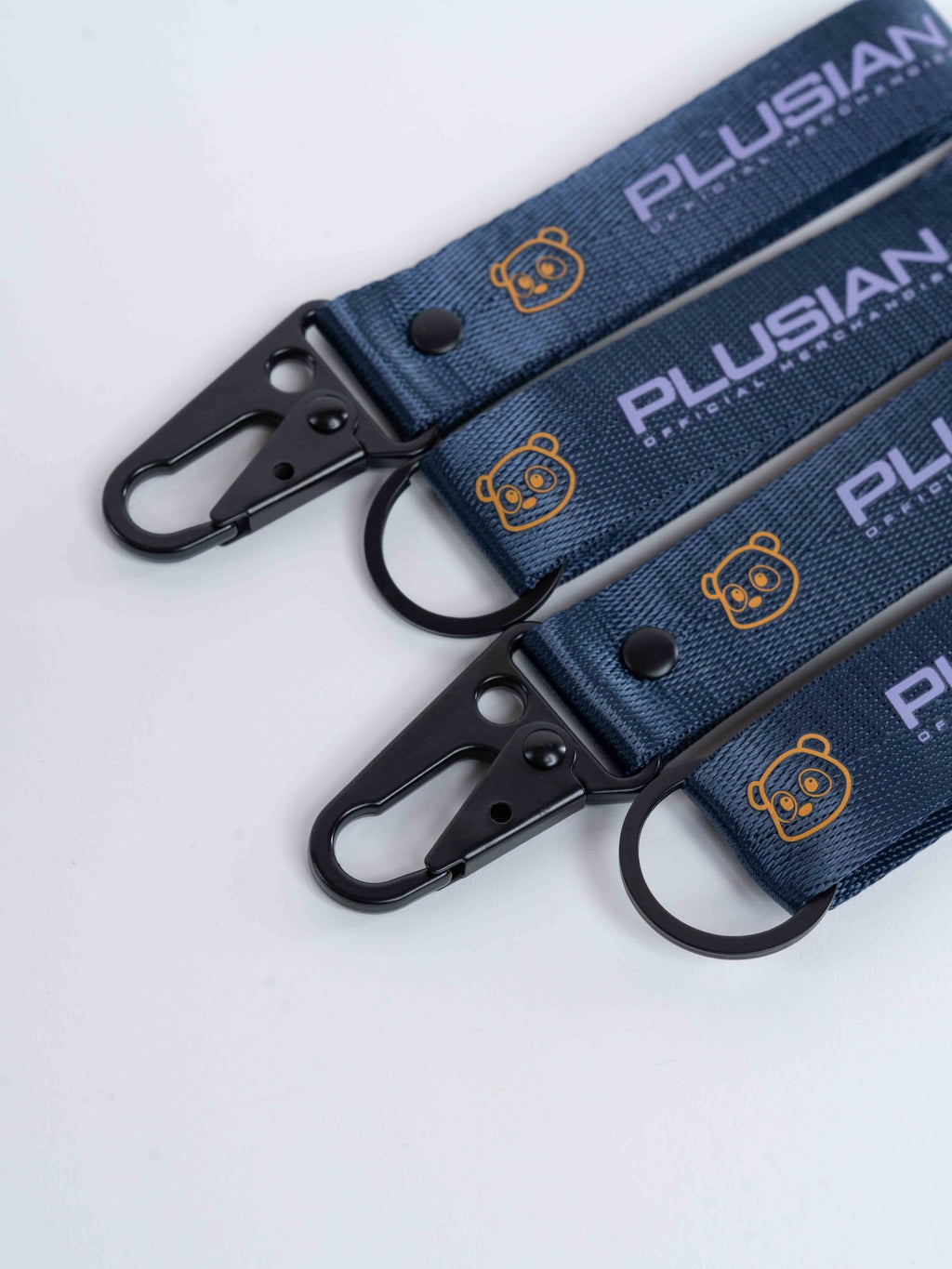 Plusian Carabiner / Keyholder
